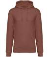NS401 Unisex Heavyweight Hooded Sweatshirt sienna colour image